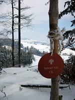  7. März 2010 - der Schnee ist nochmals zurück gekommen